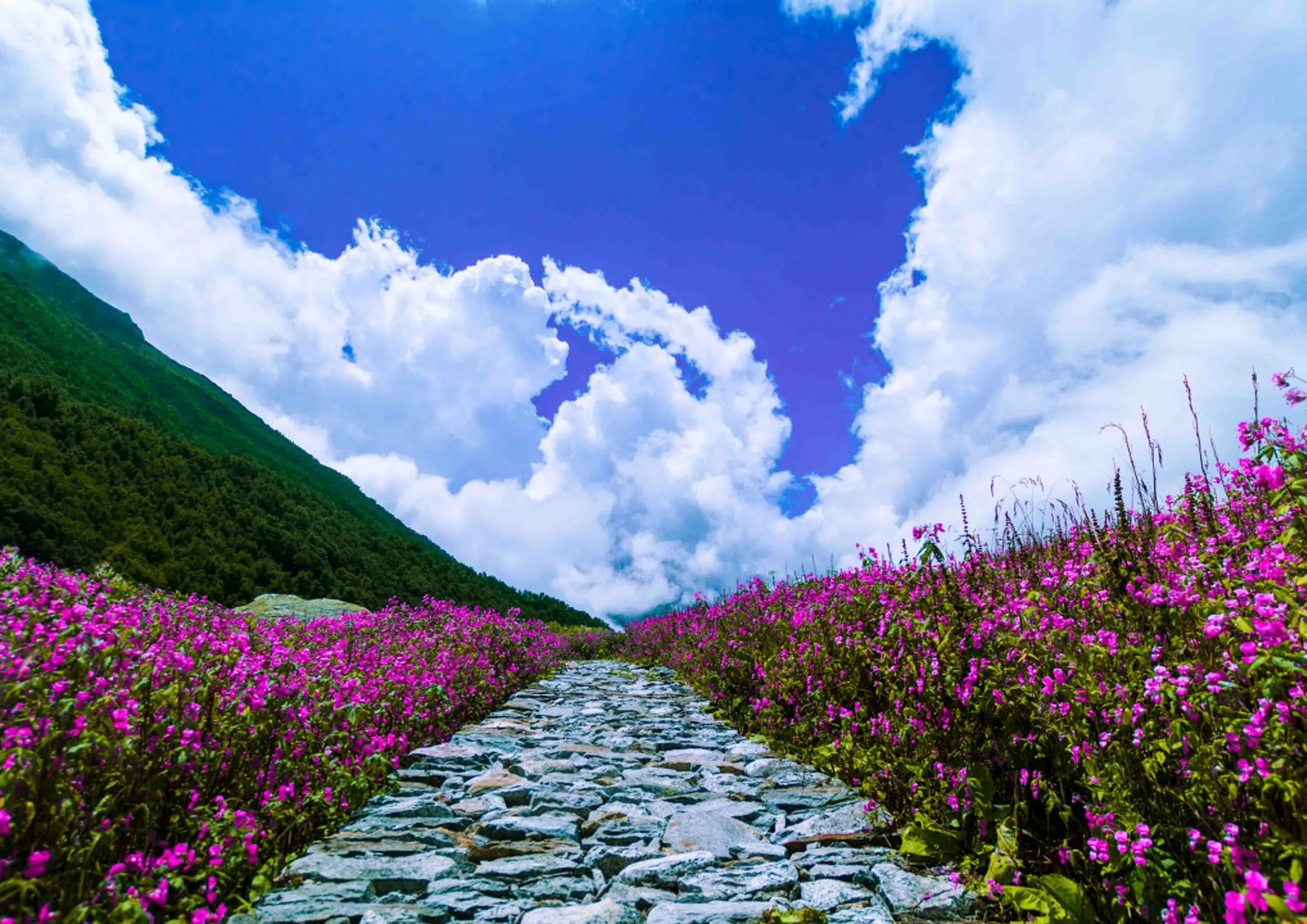 Valley of Flowers Trek